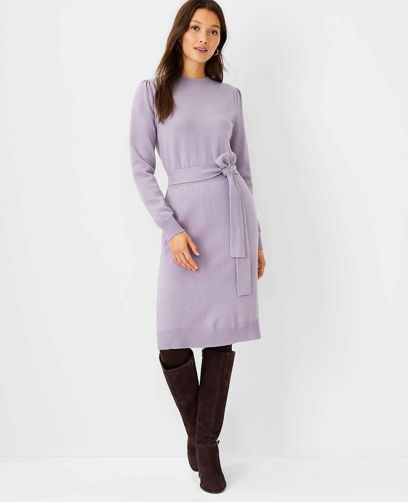 Belted Sweater Shift Dress | Ann Taylor (US)