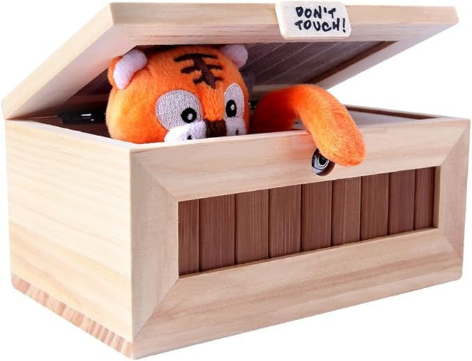 Don't Touch Useless Box with Attitude Leave Me Alone Surprises Machine-Gags & Practical Joke Deco... | Amazon (US)