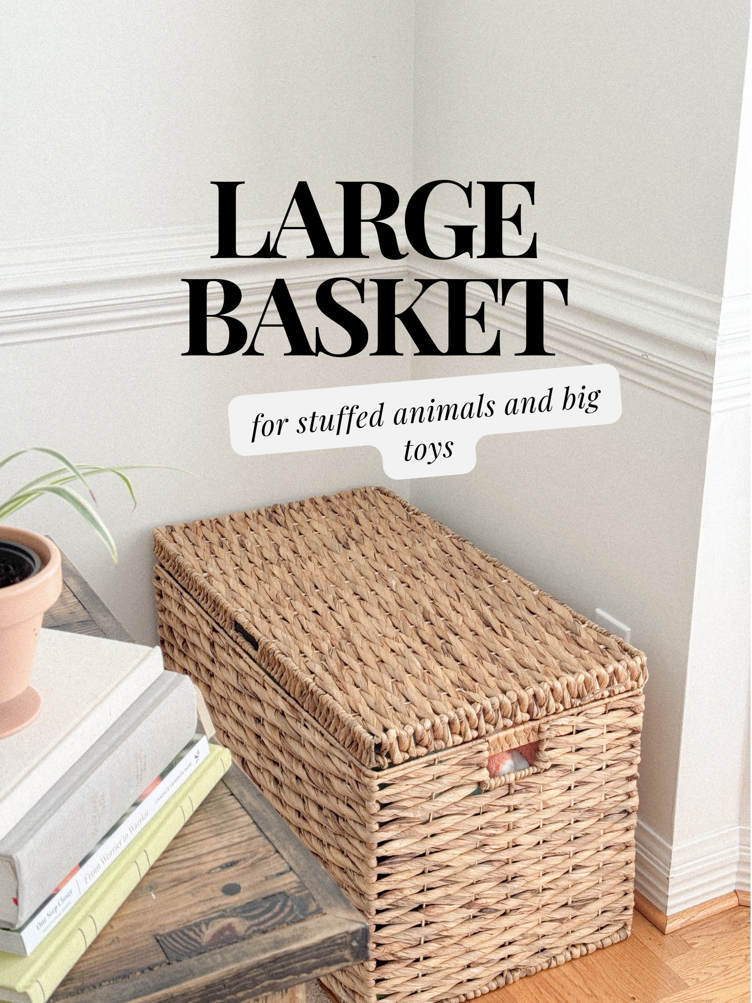 Easy storage solution for kids toys

#organizedhome #homeorganization 

#LTKFamily #LTKKids #LTKHome