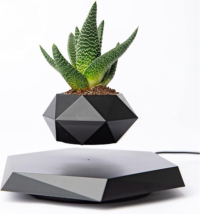 BandDlevs Floating Pots for Plants - Levitating Pot - Levitating Planter for Bonsai, Succulents, ... | Amazon (US)