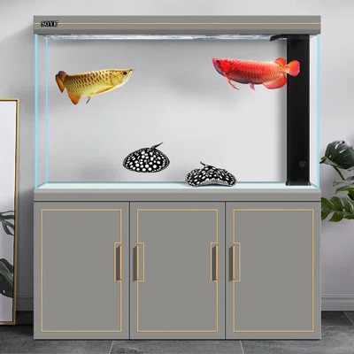 65-74 Gallon Manufactured Wood Modern Eco Aquarium Tank | Wayfair North America