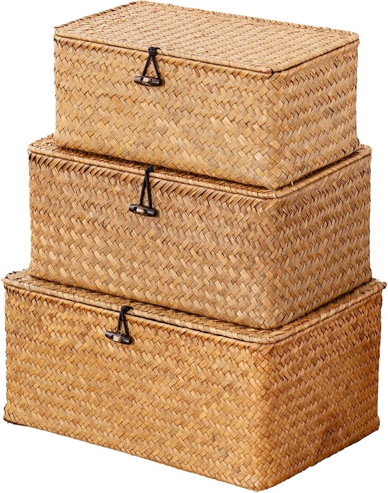 Nonam Seagrass Storage Baskets with Lid Set of 3,Wicker Basket Storage Bin with Lid for Shelves,R... | Amazon (US)