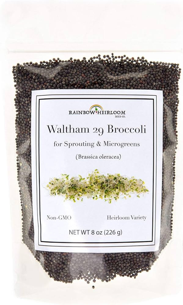 Broccoli Seeds for Sprouting & Microgreens | Waltham 29 Variety | Non GMO & Heirloom Seeds | 8 oz... | Amazon (US)