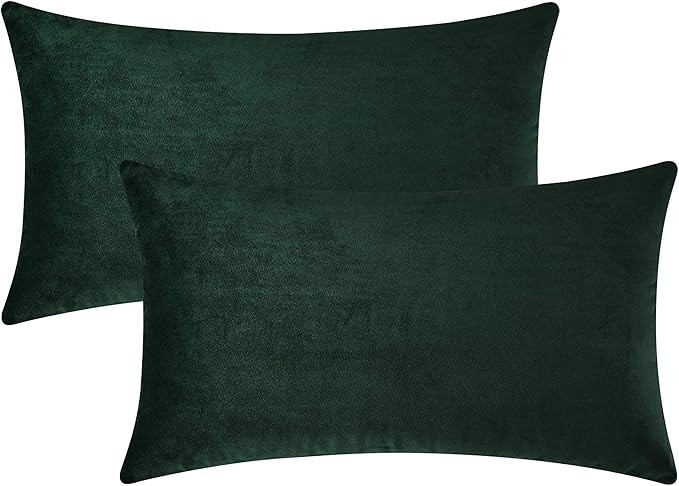 Mixhug Set of 2 Cozy Velvet Rectangle Decorative Throw Pillow Covers for Couch and Bed, Dark Gree... | Amazon (US)