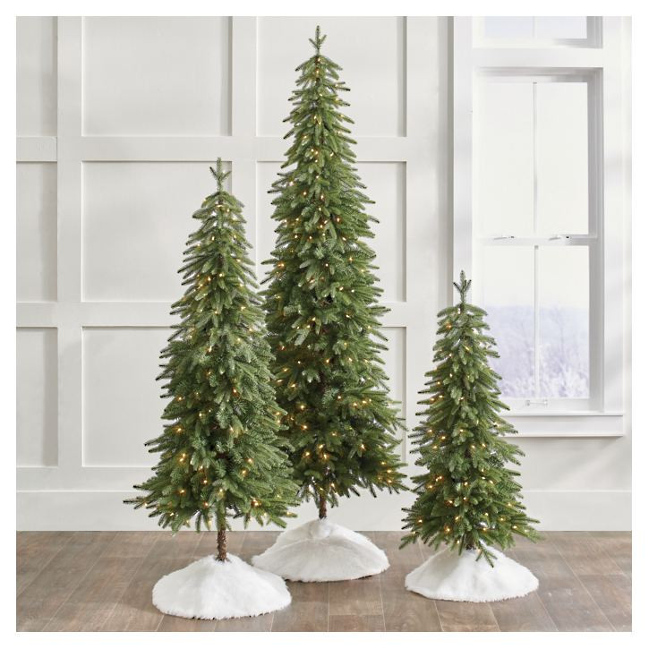 Down Swept Slim Pine Tree, Set of Three | Grandin Road | Grandin Road