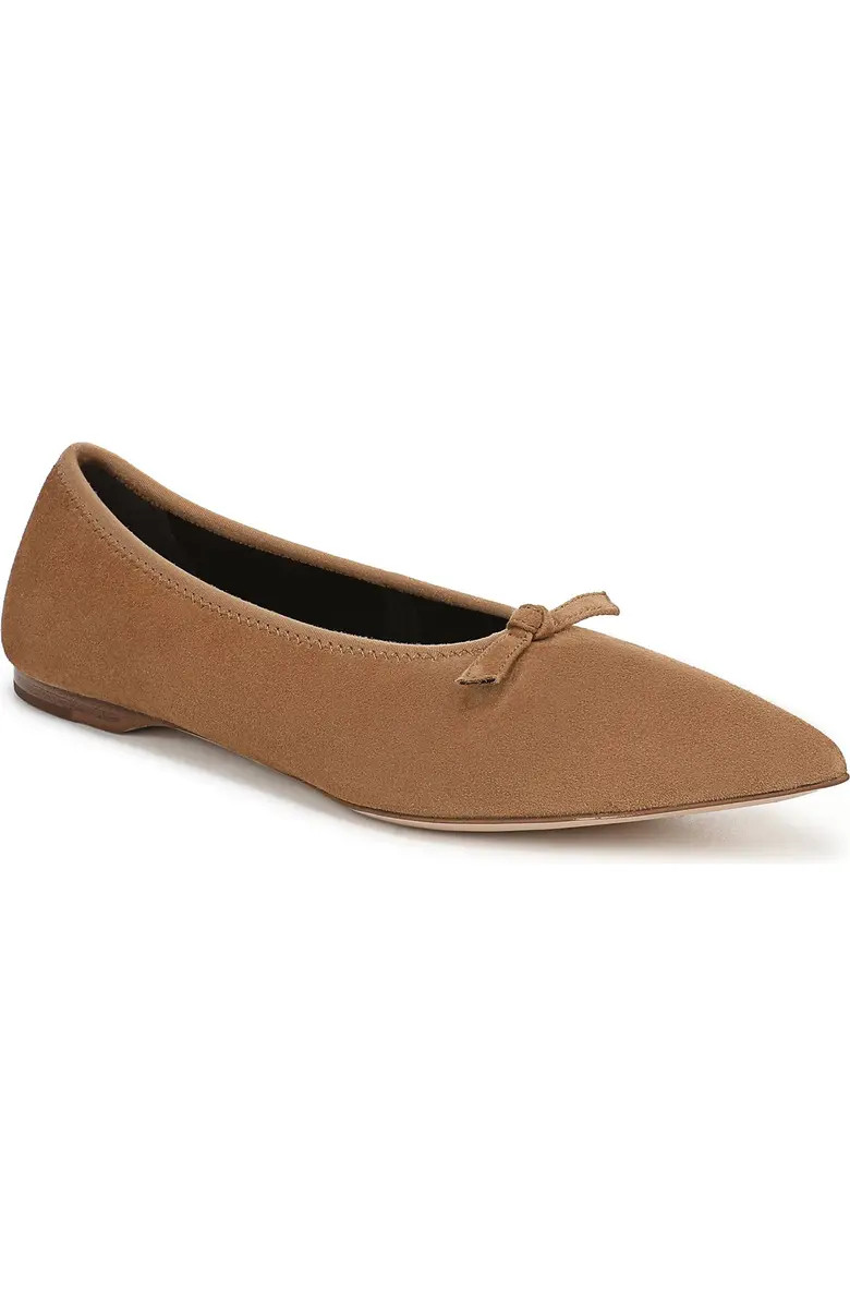 Leah Pointed Toe Flat (Women) | Nordstrom