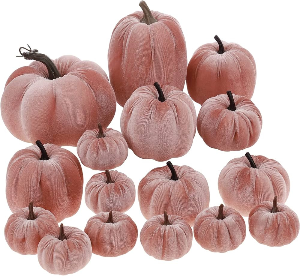 16Pcs Pink Fake Foam Pumpkins Decorating Velvet Fabric Pumpkin Bulk Fall Table Bowl Centerpiece F... | Amazon (US)