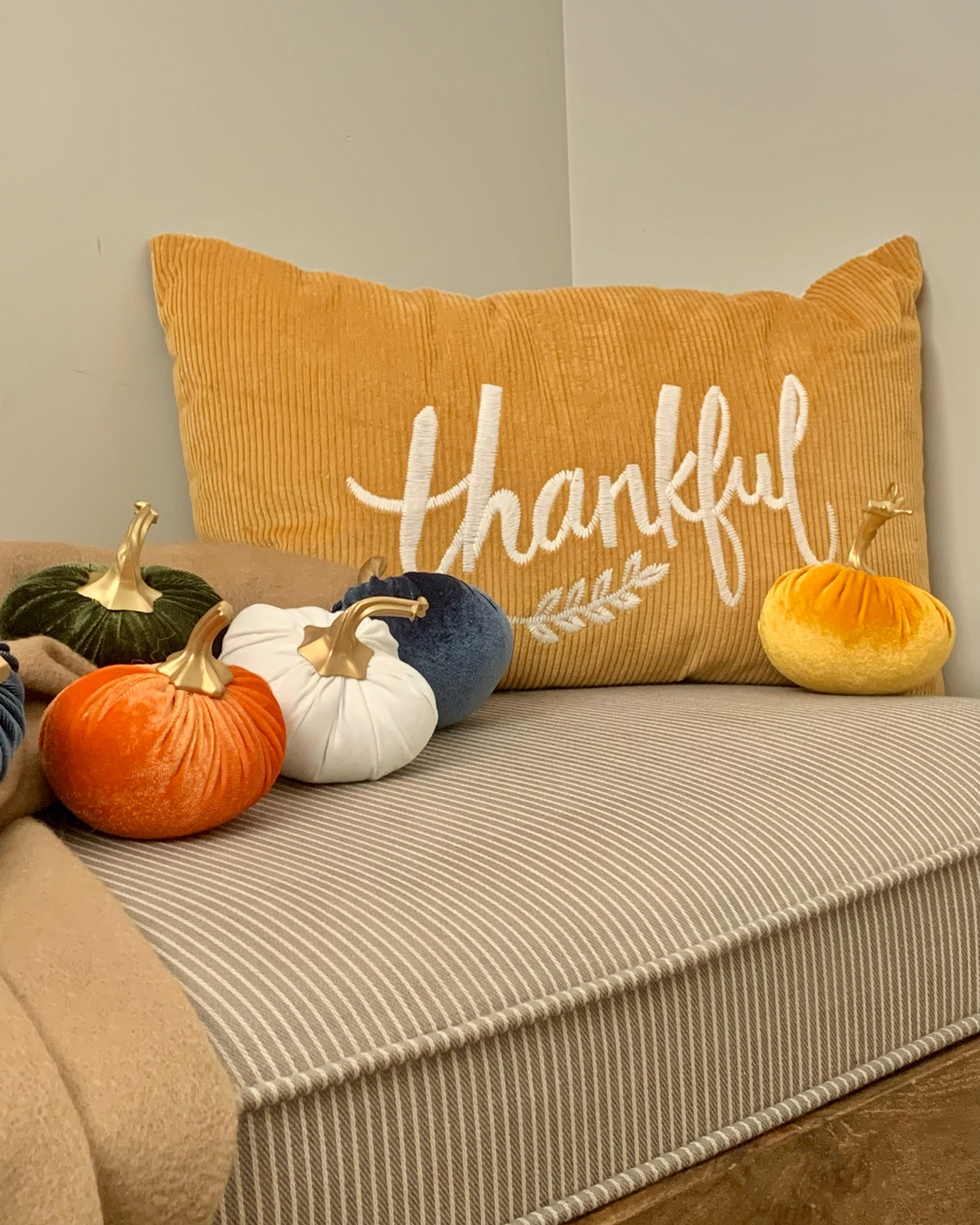Fall decor! Autumn vibes in my entryway.  How cute are these tiny crushed velvet pumpkins?

Thanks so much for visiting my LTK shop!  Follow me {ThatBronzeBeauty} for home decor ideas, and more. 

#pumkins #throw blanket #pillows 

#LTKSeasonal #LTKHalloween #LTKhome