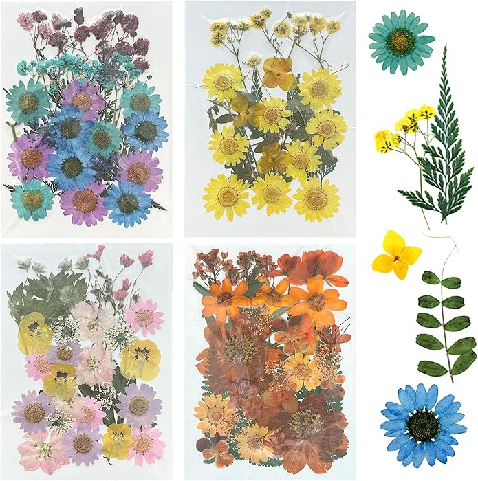 Woohome 110PCS Real Pressed Flowers, Dried Pressed Flowers Colorful Real Pressed Flowers for Resi... | Amazon (US)