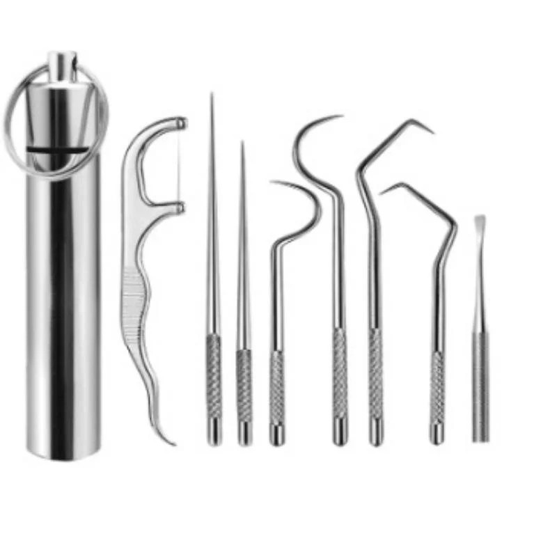 Stainless Steel Toothpick 8-piece Portable Toothpicking Tool Cleaning Oral Care Floss Needle Dent... | Walmart (US)