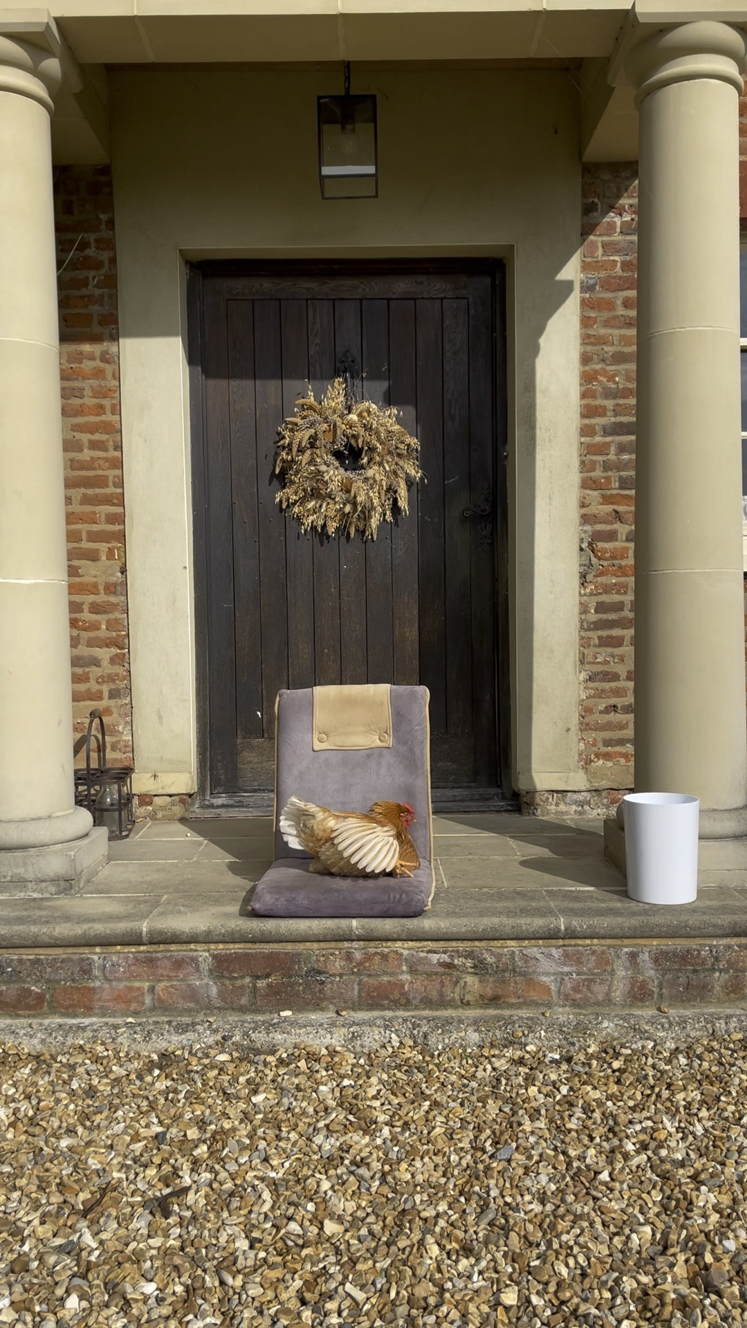 Floor seat - perfect for Porching or Picnicing 

#LTKhome