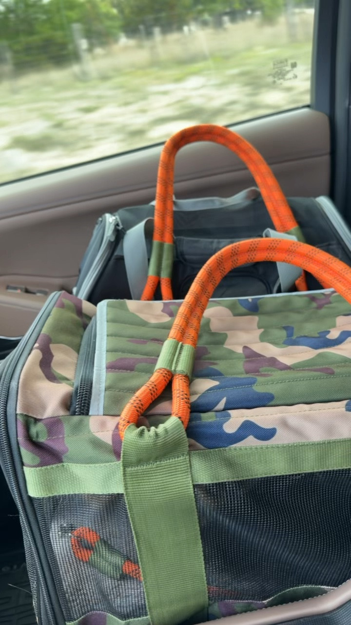 Boots & Bojangles went to the vet today 😻😻😹

Carrier linked here! 

#LTKTravel #LTKdayinmylife