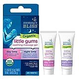 Mommy's Bliss Organic Little Gums Soothing Massage Gel Day and Night Combo, Great for Teething Babie | Amazon (US)