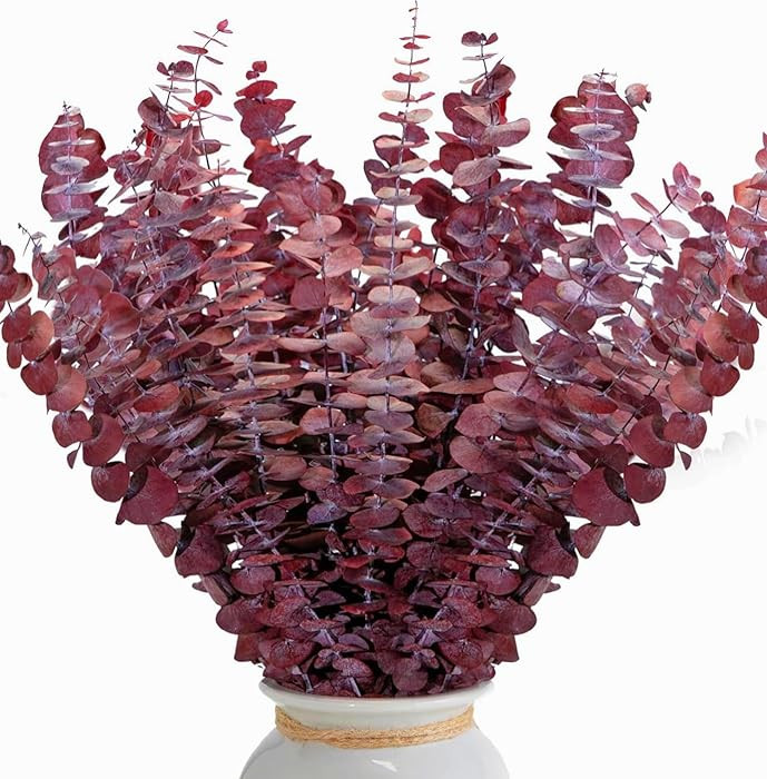 26Pcs Real Dried Fall Eucalyptus Stems, 17" Red Preserved Eucalyptus Stems for Vase, Home Decor, ... | Amazon (US)