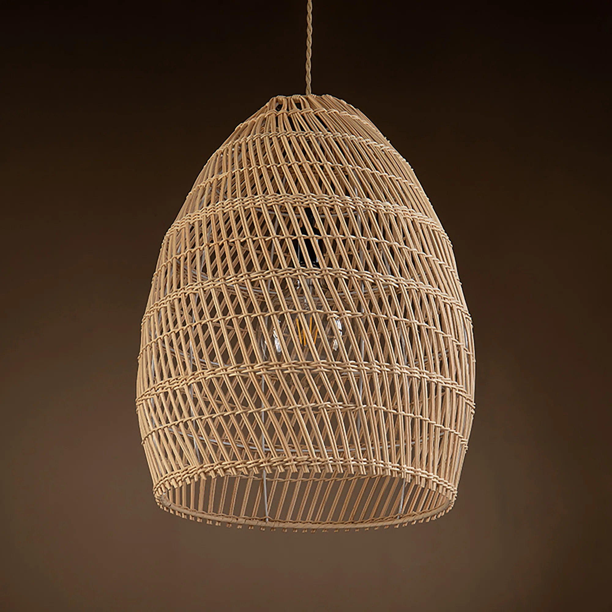 Alleman 1 - Light Single Dome Pendant | Wayfair North America