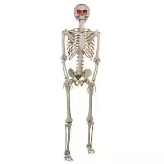 5 ft Posable Skeleton with LED Eyes | The Home Depot