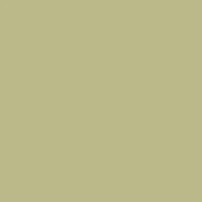 Baby Bok Choy (9037) - Paint Sample | Samplize