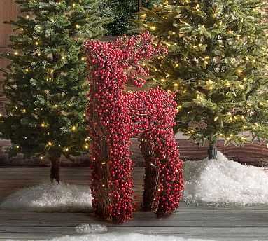 Lit Red Berry Reindeer | Pottery Barn (US)