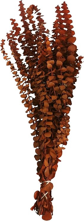 CalCastle Craft California Grown Natural Dried Preserved Eucalyptus Branches Bundles of Stems and... | Amazon (US)