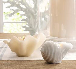 Premium Flameless Seashell Candle | Pottery Barn (US)
