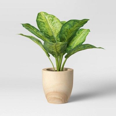 Small Variegated Leaf in Wood Pot - Threshold™ | Target