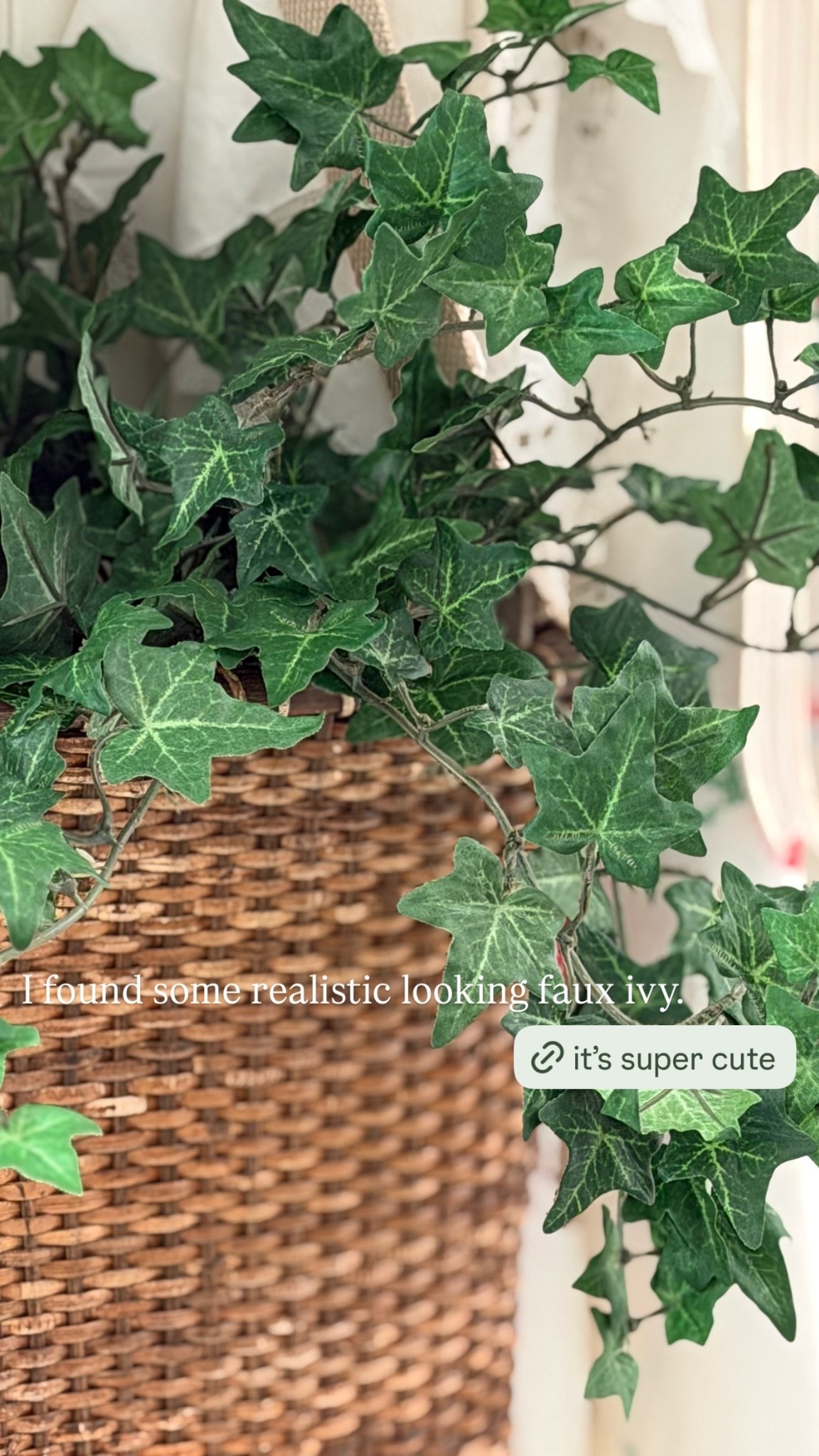 I found some realistic looking faux ivy.