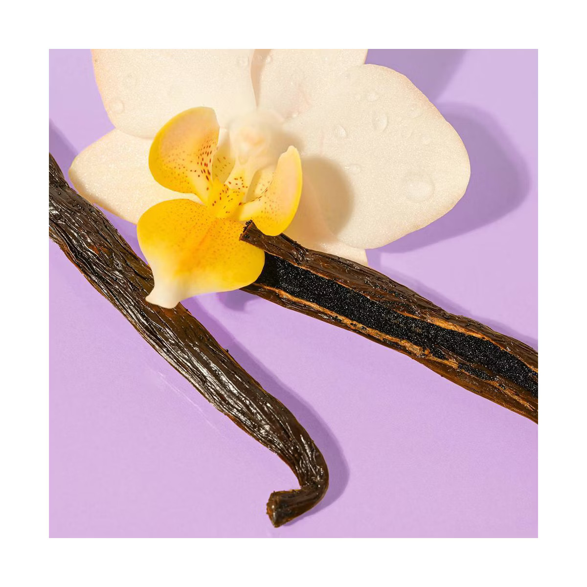 eos Shea Better Moisture Body Lotion - Vanilla Cashmere - 16 fl oz | Target