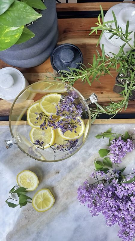 Fragrant Lilac, Lemon, and Rosemary Simmer Pot Recipe
 
This delightful summer pot is easy-to-make, featuring the harmonious blend of fresh lilac, zesty lemons, and aromatic rosemary. Perfect for refreshing your home or setting a relaxing ambiance at home. 

Ingredients:
- Handful of fresh lilac blooms
- 2 lemons, sliced
- 3-4 sprigs of fresh rosemary
- Water

Lilacs | simmer Pot  | Easy Recipes | Easy Recipe | Fresh Florals | Home Decorating  | Home Decor | DIY | DIY Decor

#LTKGiftGuide #LTKHome #LTKVideo