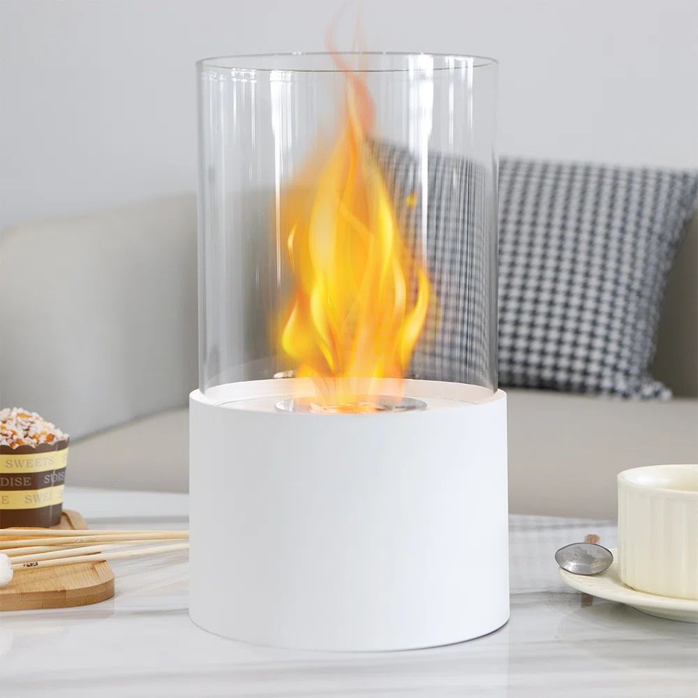 JHY DESIGN Metal Bio-Ethanol Tabletop Fireplace with Flame Guard | Wayfair | Wayfair North America