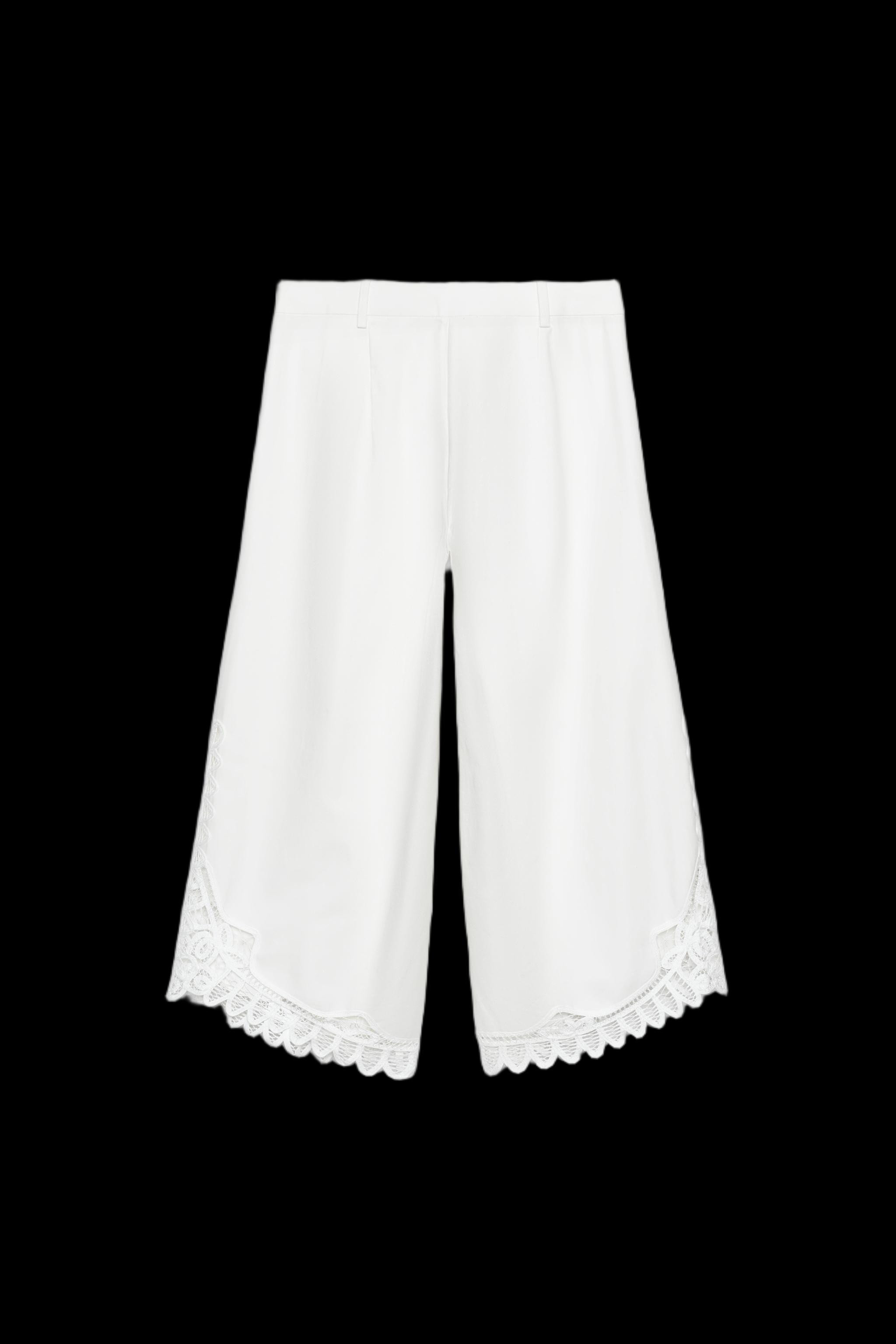 EMBROIDERED TROUSERS ZW COLLECTION | Zara US