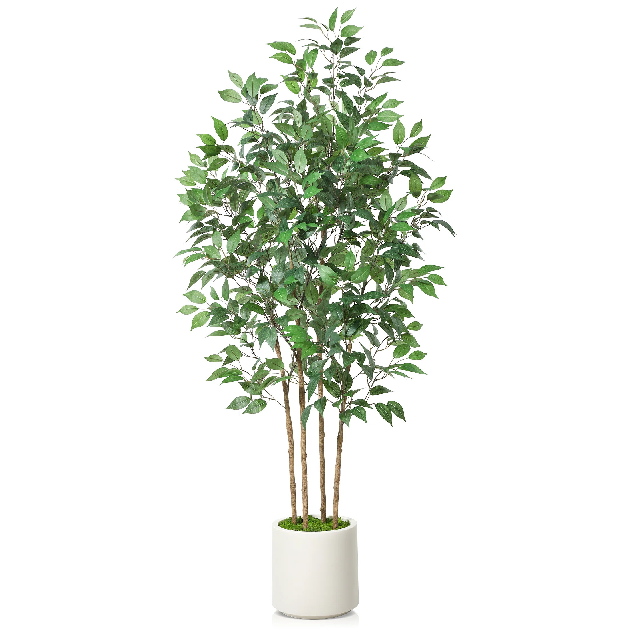 Adcock Faux Ficus Tree in Pot with White Planter, Faux Green Ficus Plant, Fake Tree for Home Déc... | Wayfair North America