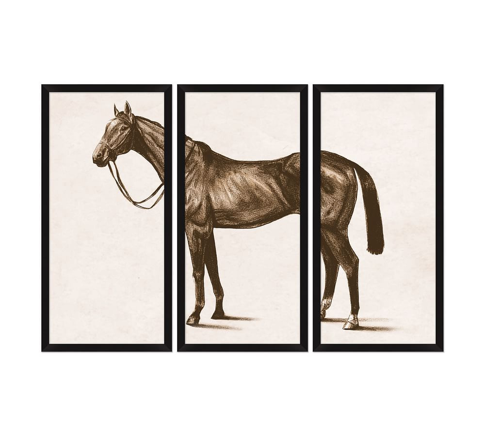 Horse Triptych Wall Art, 21&amp;quot; x 43&amp;quot; | Pottery Barn (US)