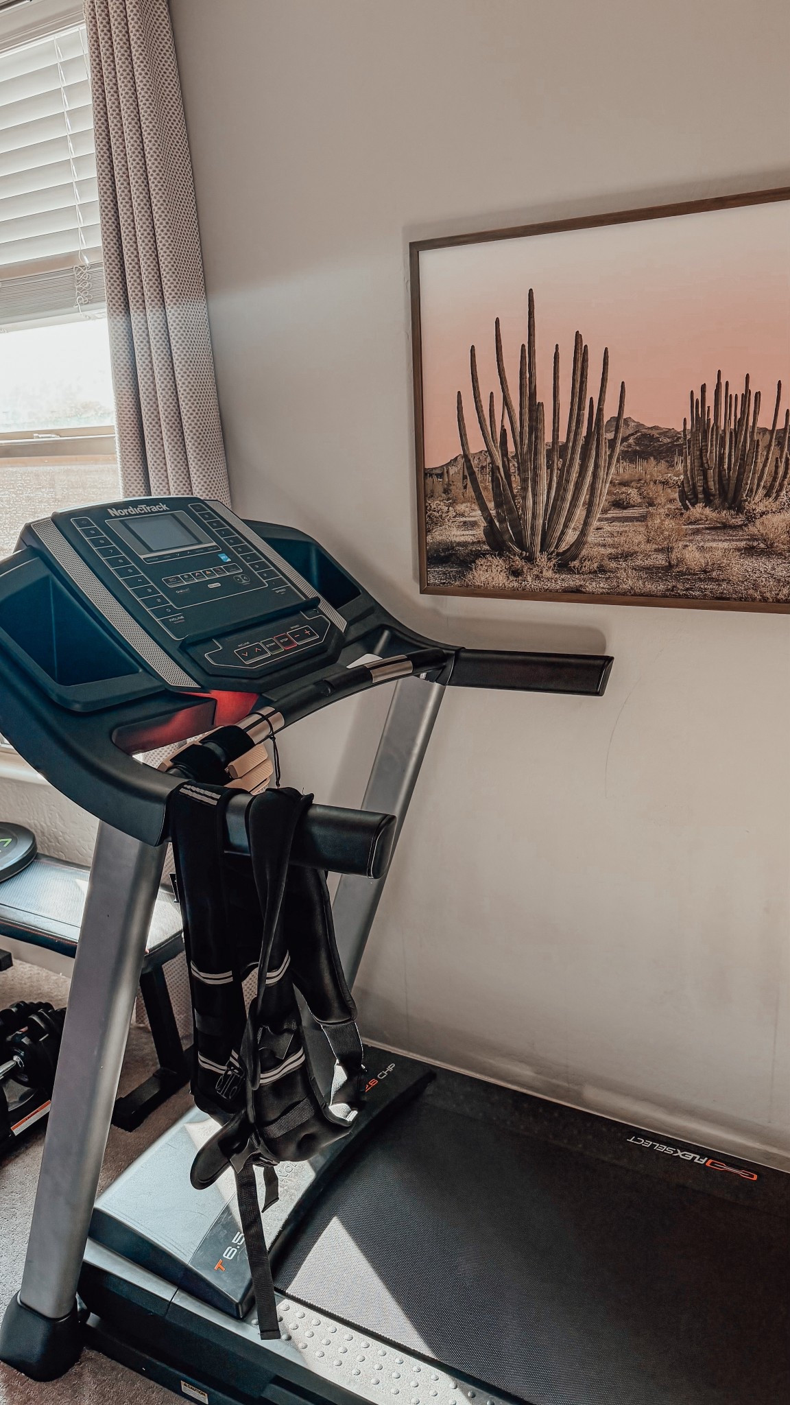 #LTKActive #LTKselfcare #LTKfitnessgoals