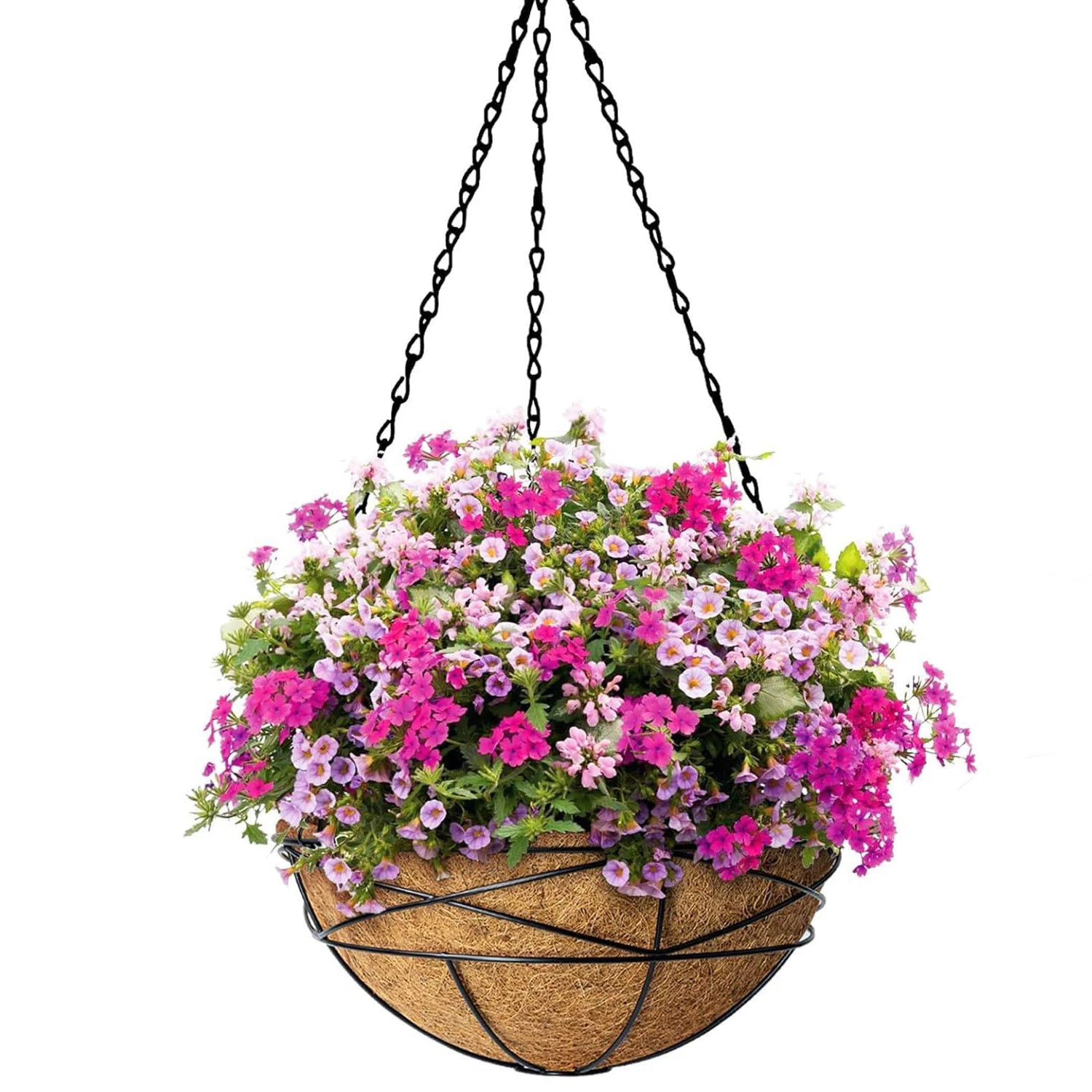 14" Hanging Planter Basket with Coco Liner, Metal Chain Hanging Flower Pot for Outdoor Plants, Ro... | Wayfair North America