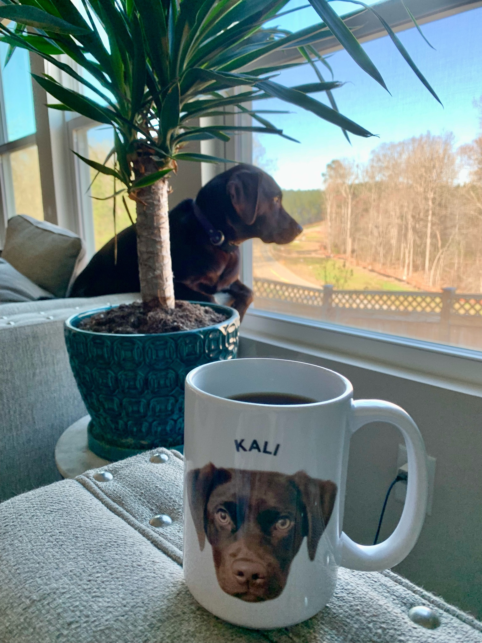 Type League Press, dog coffee mug, gift for bride, gift for groom, gift for mom, gift for dad, dog mom, dog dad, cute dog gifts

*15oz mug

#LTKwedding #LTKunder50 #LTKFind