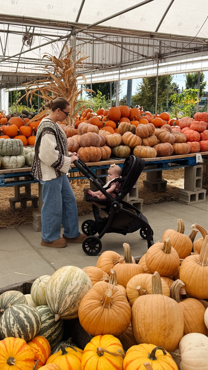 I've been searching for a full size stroller that doesn't take up my entire trunk... and after extensive research, I discovered @dfyordinary 🤌🏼 

It's the same size as our travel stroller but has full size features including world-facing and parent-facing seat options (which was huge for me), a large storage basket, and the harness can be adjusted with the pinch of two fingers.

After using it for a few weeks... I'm loving it so much! #gifted #dfyordinary #girlmom #unboxing #ftm #r1stroller