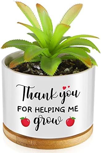 Christmas Plant Pot for Women Men Teacher Nurse Mother Ceramic Succulent Plant Pot Mini Succulent... | Amazon (US)