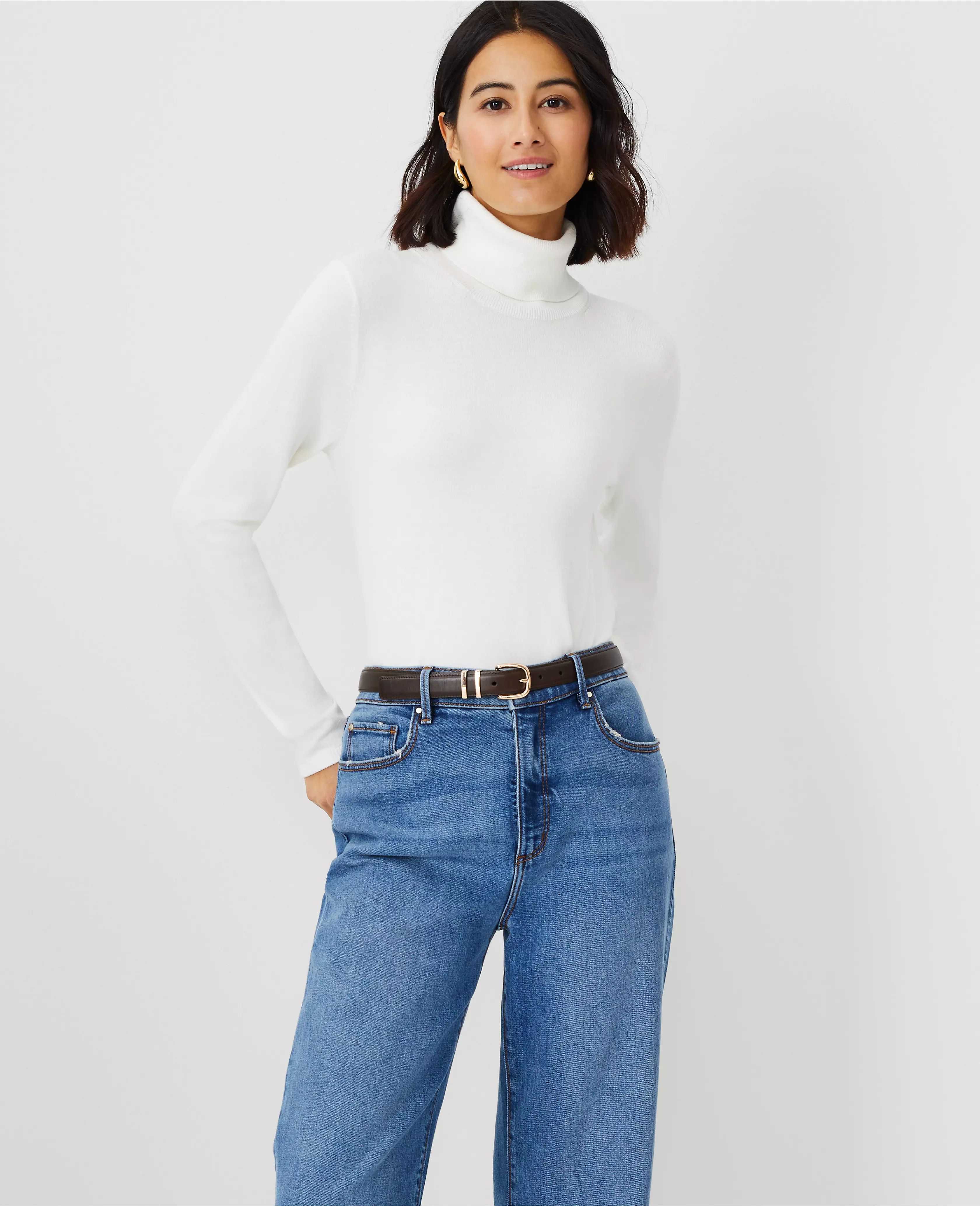 Modern Turtleneck Sweater | Ann Taylor (US)