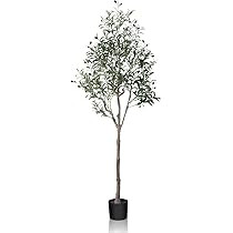 Dr.Planzen Artificial Olive Tree,6FT Tall Fake Plant Faux Olive Plants for Indoor,Natural Fake Tree, | Amazon (CA)