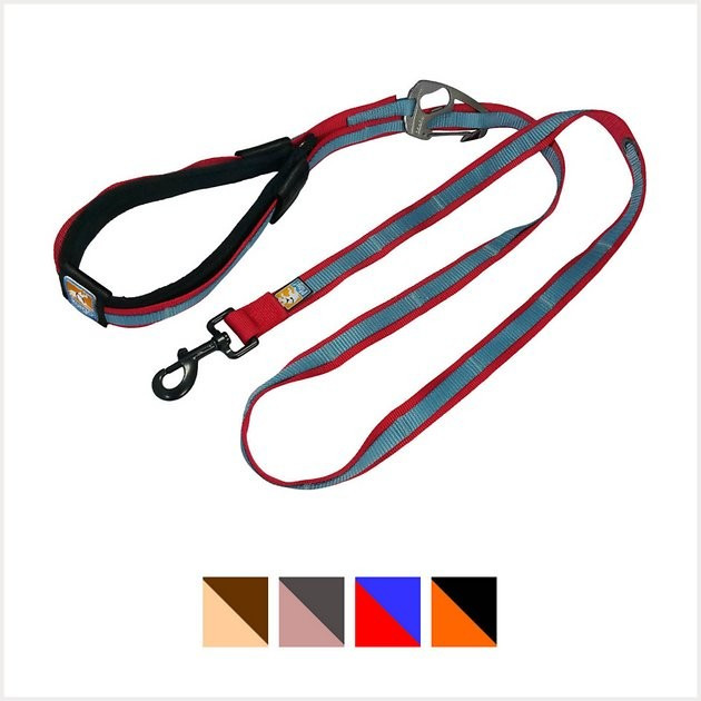 Kurgo Reflect & Protect Quantum Nylon Hands-Free Running Dog Leash | Chewy.com
