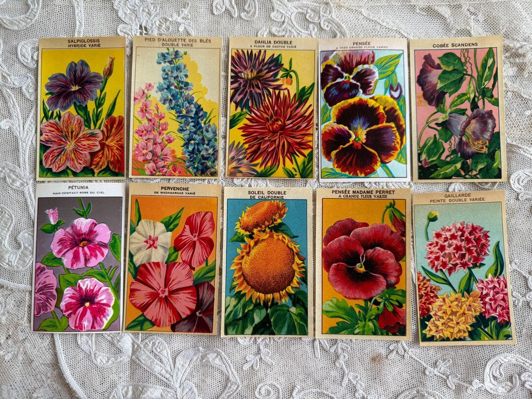 Collection of 10 Original Rare Pieces Antique French Flower Seed Packet Labels - Etsy | Etsy (US)