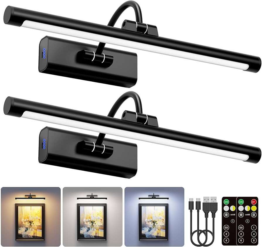 2 Pack Picture Lights for Wall 6000mAh - 16" Black Cordless Battery Powered Wall Mount Sconce wit... | Amazon (US)