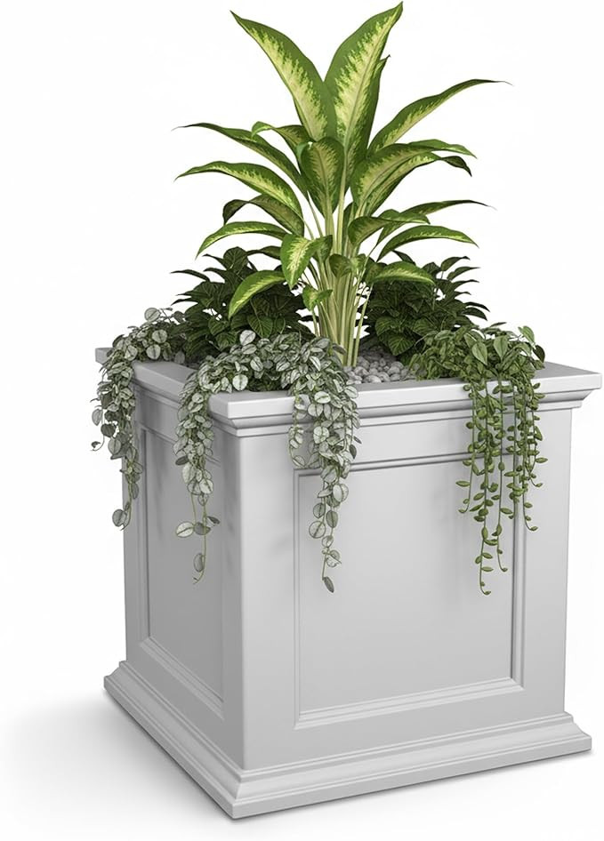 Mayne Fairview Self Watering Planter Box - 20 Inch Large Square, Classic Inset Panels, New Englan... | Amazon (US)