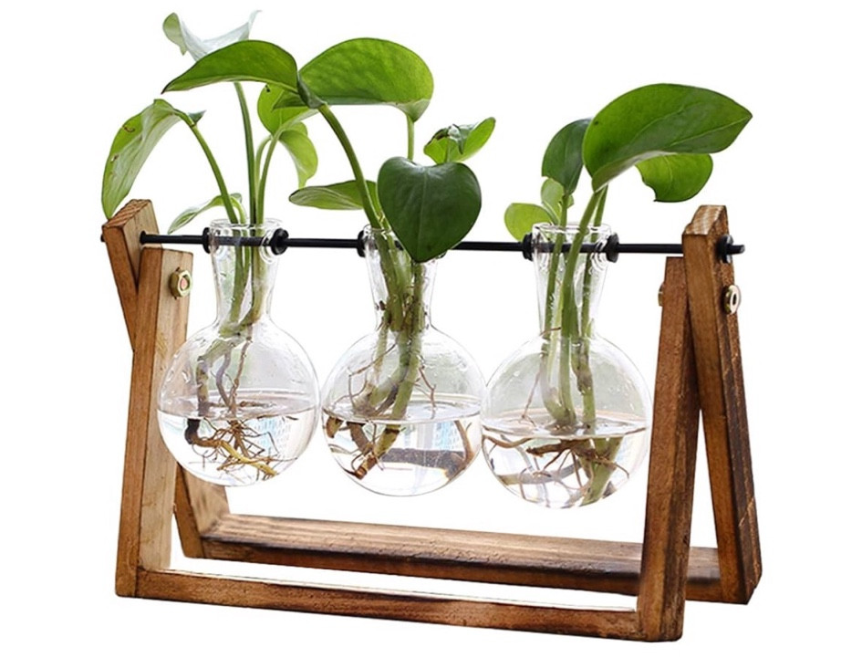 Cute and trendy indoor plant holder 

#LTKHome #LTKU #LTKGiftGuide