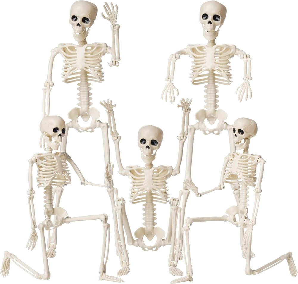 Halloween Skeletons Decorations, 16" Posable Plastic Skeleton 5 Packs, Full Body Skeleton Bulk wi... | Amazon (US)