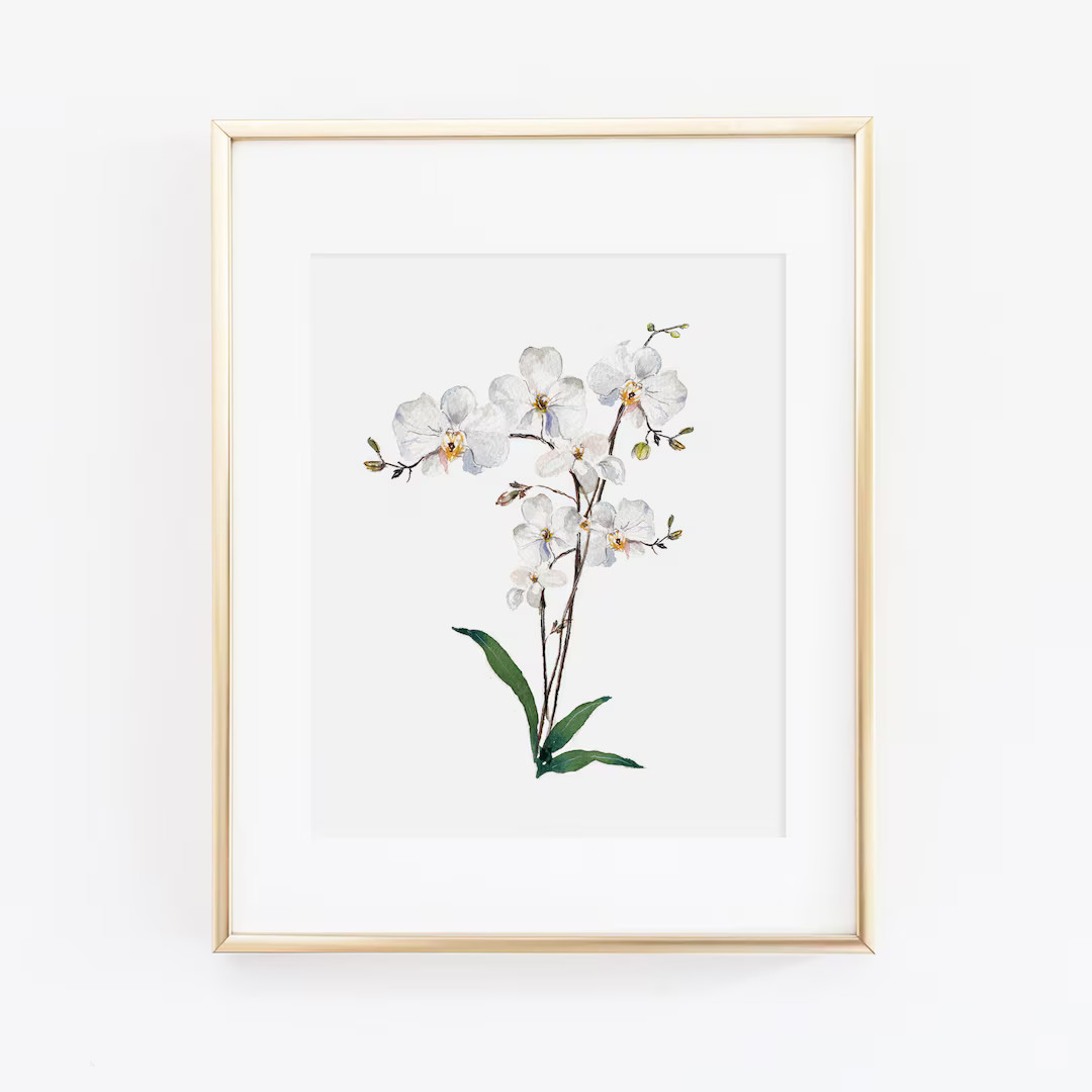 Orchid Watercolor Print | Watercolor Orchid Wall Art | White Flower Wall Art | Watercolor Floral ... | Etsy (US)