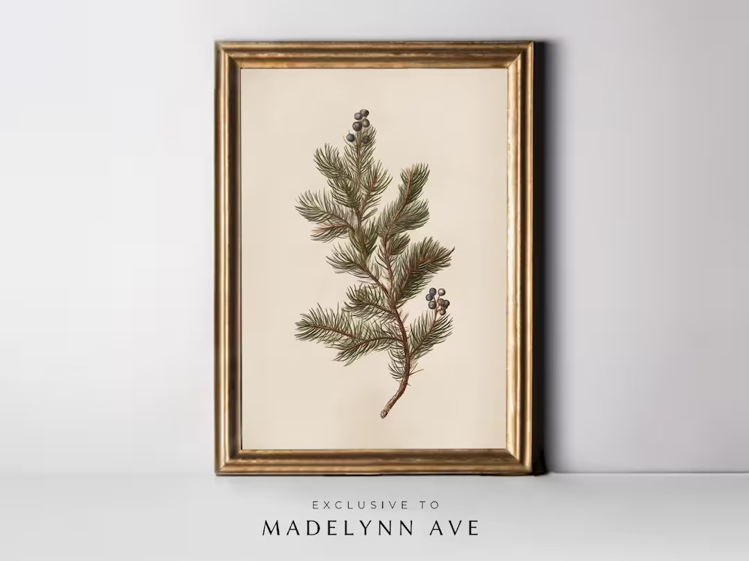 Pine Botanical Art Print, Modern Christmas Drawing, Simple Holiday Art, Winter Botanical Art Prin... | Etsy (US)