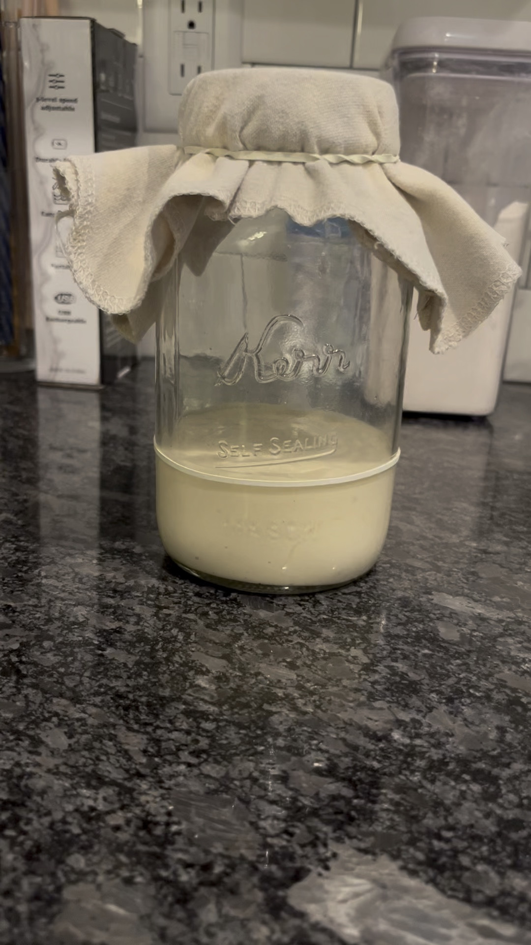 This sourdough starter understood the assignment! Doubled in no time—she’s thriving. My toddlers named her… or I guess him… Santa Claus. 🎅🏼 
#SourdoughStarter #WildYeast #BakingMagic #HomemadeBread #SourdoughLife #FermentationStation #BreadBaking #SourdoughJourney #StarterGoals #RiseAndShine 

#LTKWatchNow #LTKFamily #LTKHome