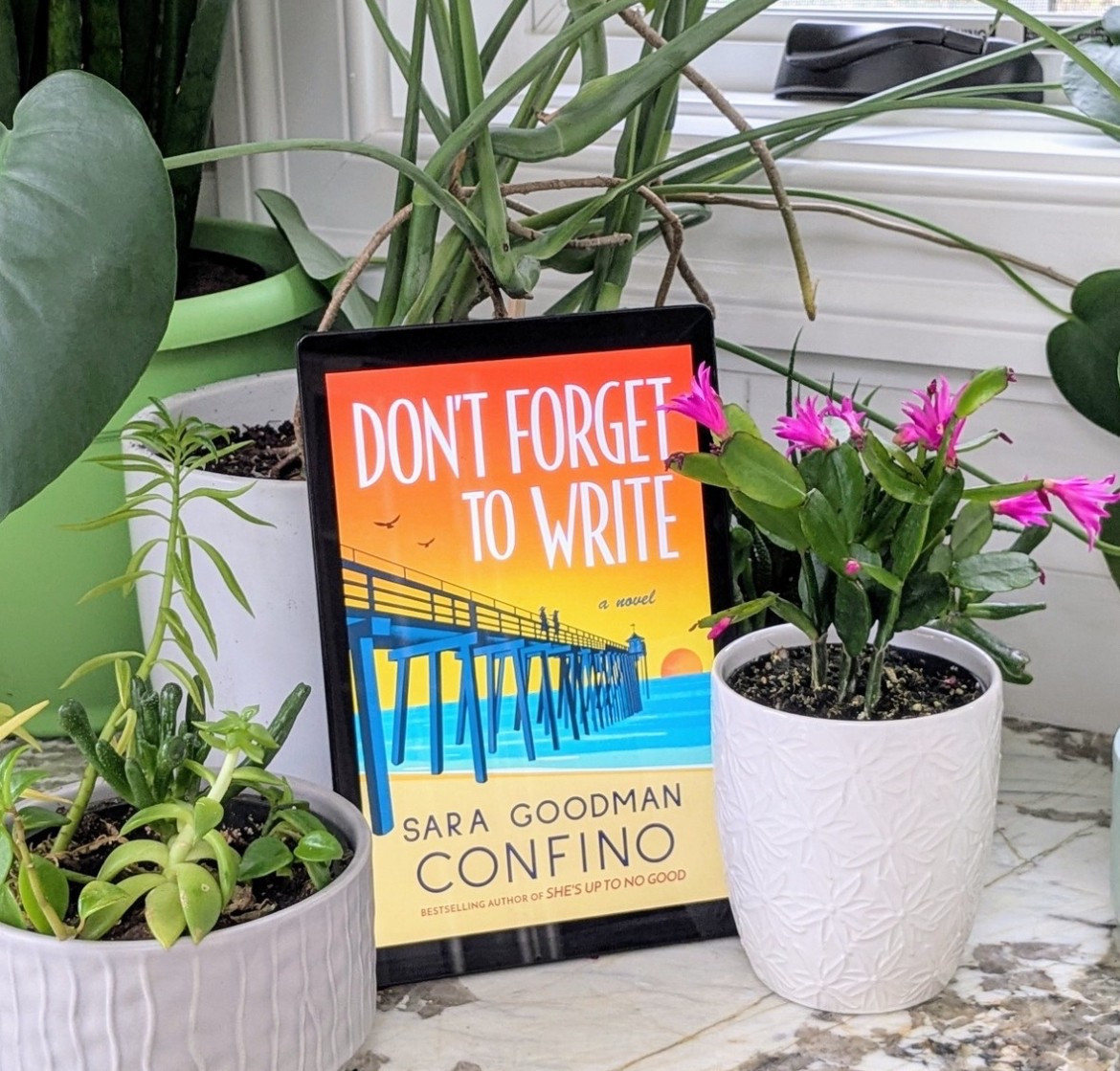 Don’t Forget to Write by Sara Goodman Confino ⭐⭐⭐⭐

Pub Day: September 1, 2023
Pages: 334
Audiobook Length: 9 hours, 2 minutes

I loved this beautiful story of finding love (not always romantic), self-discovery, and finding your place in the world. In the 1960’s women were expected to marry and reproduce young. Marilyn Kleinman has a different view of her life. After an embarrassing moment with the rabbi’s son at synagogue, Marilyn’s parents demand that she marries him. When Marilyn refuses, she is sent off to Philadelphia, to live with her great-aunt, Ada for the summer. Ada is a single woman, matchmaker, and has a strong personality. She tells it like she sees it. This book has been on my TBR for a long time. I am so glad I was able to pick it up and read it. I loved the writing. I absolutely loved both Marilyn and Ada’s characters. I loved the challenge they brought to the typical gender roles of the 1960’s and the feminist vibes throughout the entire book. As always, the Jewish references are wonderful to read. When a book such as this one gives you all of the emotions, you know it is a good one and you must recommend it. 

#LTKFindsUnder50 #LTKFamily #LTKActive