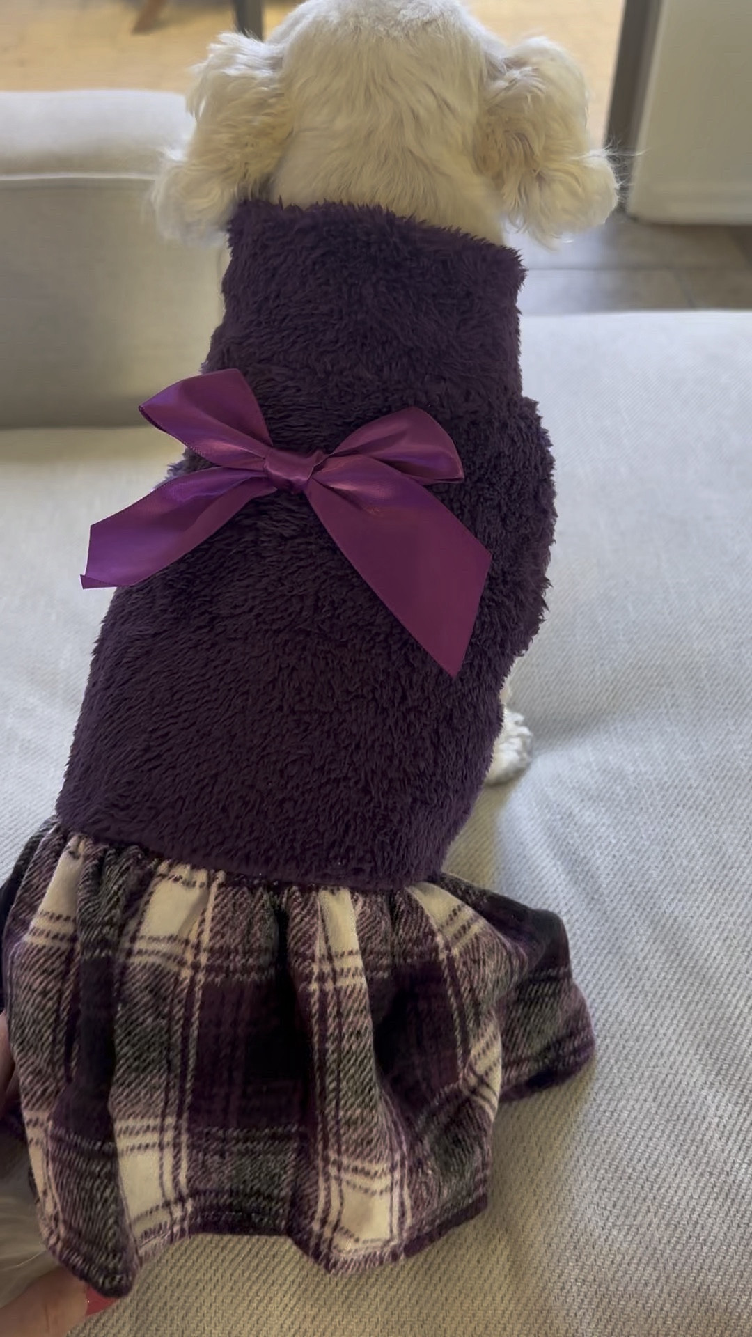 Dog Dress

The absolutely cutest outfits for your dog. This one is adorable and so super soft. I have linked some of my favorites below. 

#LTKsalealert
#LTKstyletip
#LTKfindsunder50

dog clothing, dog outfit, dog dress, outfits for dogs, gift for dogs, pet lover, dog mom, Christmas dress for dogs, holiday outfit for dogs, 



#LTKHoliday #LTKVideo #LTKGiftGuide